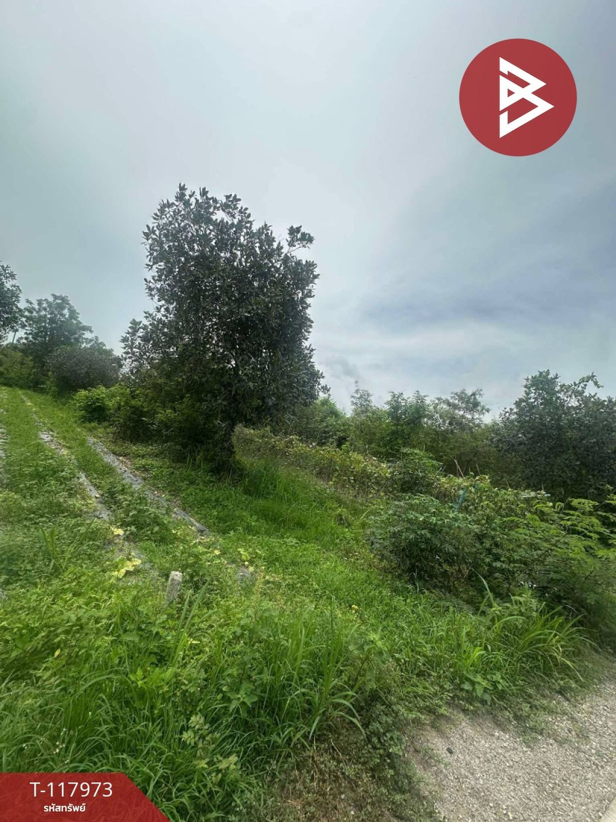 ขายที่ดิน เนื้อที่ 80 ตร.วา จอมบึง ราชบุรี