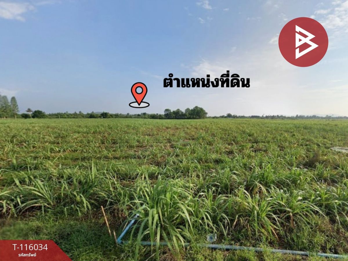 ขายที่ดิน เนื้อที่ 13 ไร่ 2 งาน 5 ตร.วา โพธาราม ราชบุรี - 4