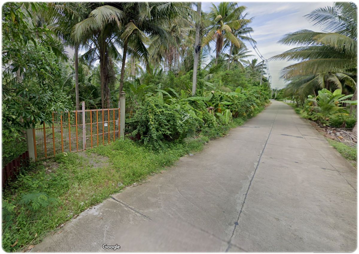 ขายที่สวน พร้อมบ้านทรงไทย 2หลัง ติดน้ำ 3ด้าน มีหิ่งห้อยช่วงค่ำ ใกล้กรุงเทพ เหมาะสำหรับการพักผ่อนยามเกษียณ