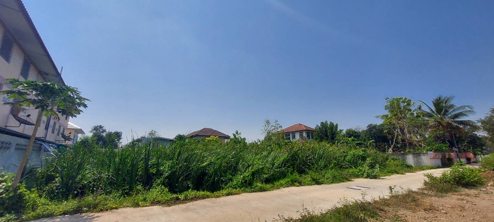 ขายที่ดิน เนื้อที่ 203.5 ตร.ว ถนนเพชรเกษม ซอยวิศวะเสนานิคม ต.ดอนตะโก อำเภอเมืองราชบุรี จ.ราชบุรี ติดถนนคอนกรีตสาธารณะกว้าง 6 เมตร เดินทางสะดวก เข้าออกได้หลายทาง ใกล้ถนนเพชรเกษม และถนนเลี่ยงเมือง - 11