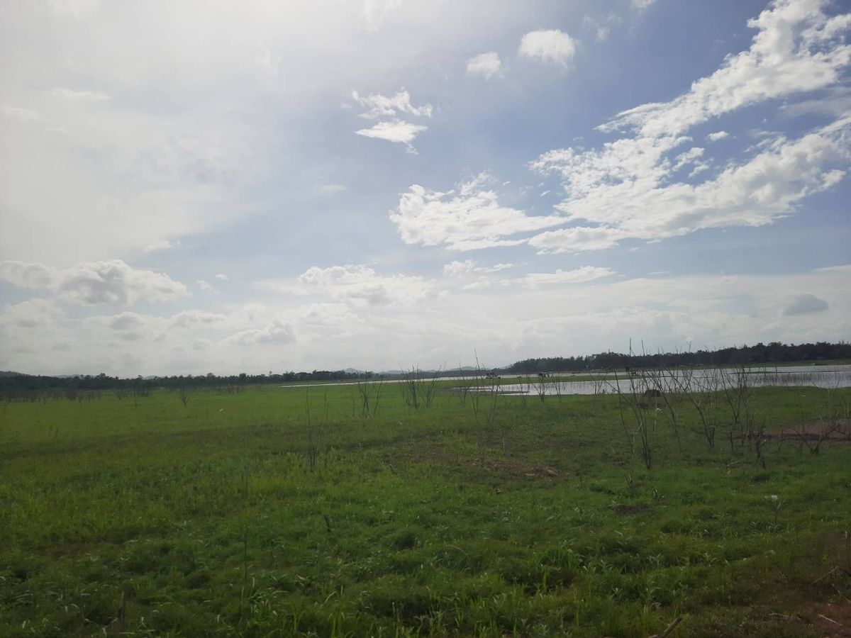 ขายที่ดินใกล้สนานกอล์ฟ Dragon Hills & Country Clubs - 10
