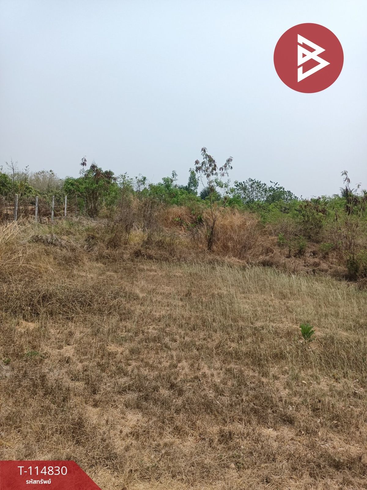 ขายที่ดิน 2 ไร่ จอมบึง ราชบุรี - 5