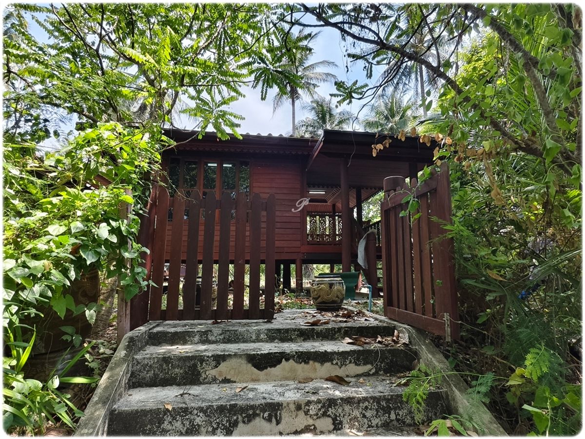 ขายที่สวน พร้อมบ้านทรงไทย 2หลัง ติดน้ำ 3ด้าน มีหิ่งห้อยช่วงค่ำ ใกล้กรุงเทพ เหมาะสำหรับการพักผ่อนยามเกษียณ - 10