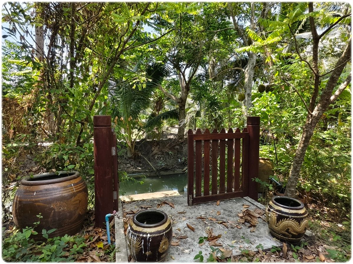ขายที่สวน พร้อมบ้านทรงไทย 2หลัง ติดน้ำ 3ด้าน มีหิ่งห้อยช่วงค่ำ ใกล้กรุงเทพ เหมาะสำหรับการพักผ่อนยามเกษียณ - 9