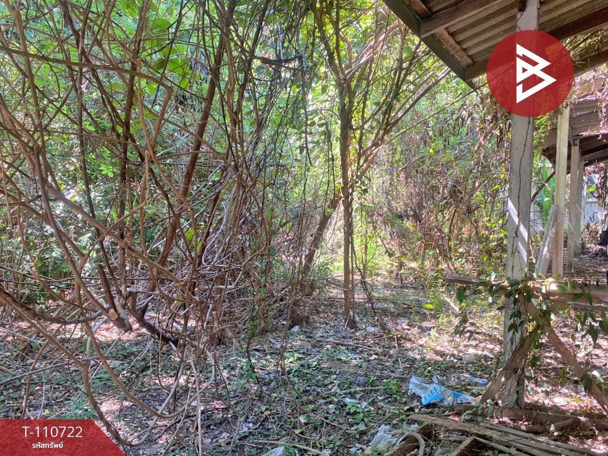 ขายที่ดิน เนื้อที่ 2 งาน 50 ตร.วา เจดีย์หัก ราชบุรี - 11