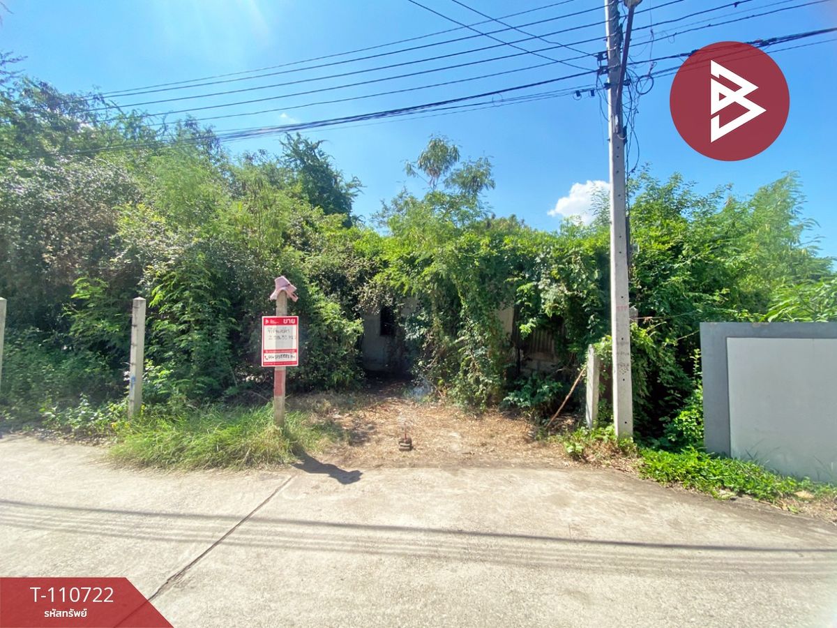 ขายที่ดิน เนื้อที่ 2 งาน 50 ตร.วา เจดีย์หัก ราชบุรี - 4