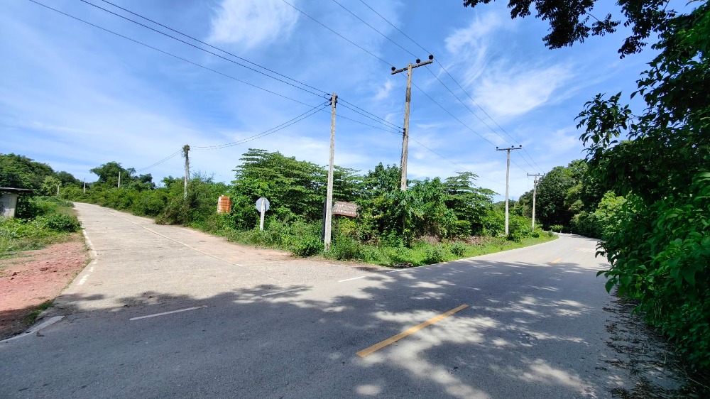 ขายที่ดิน 54 ไร่ บ้านหนองยายกะตา ถนน 3207 ต.หินกอง อ.เมืองราชบุรี จ.ราชบุรี - 12
