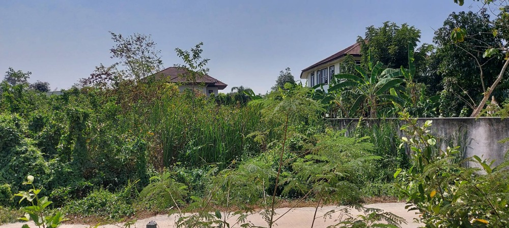 ขายที่ดิน เนื้อที่ 203.5 ตร.ว ถนนเพชรเกษม ซอยวิศวะเสนานิคม ต.ดอนตะโก อำเภอเมืองราชบุรี จ.ราชบุรี ติดถนนคอนกรีตสาธารณะกว้าง 6 เมตร เดินทางสะดวก เข้าออกได้หลายทาง ใกล้ถนนเพชรเกษม และถนนเลี่ยงเมือง - 6