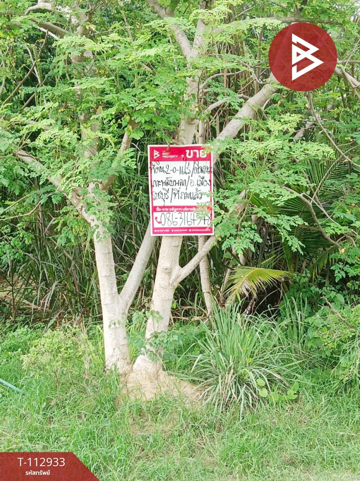 ขายที่ดิน เนื้อที่ 2 ไร่ 16 ตร.วา เกาะพลับพลา ราชบุรี - 3