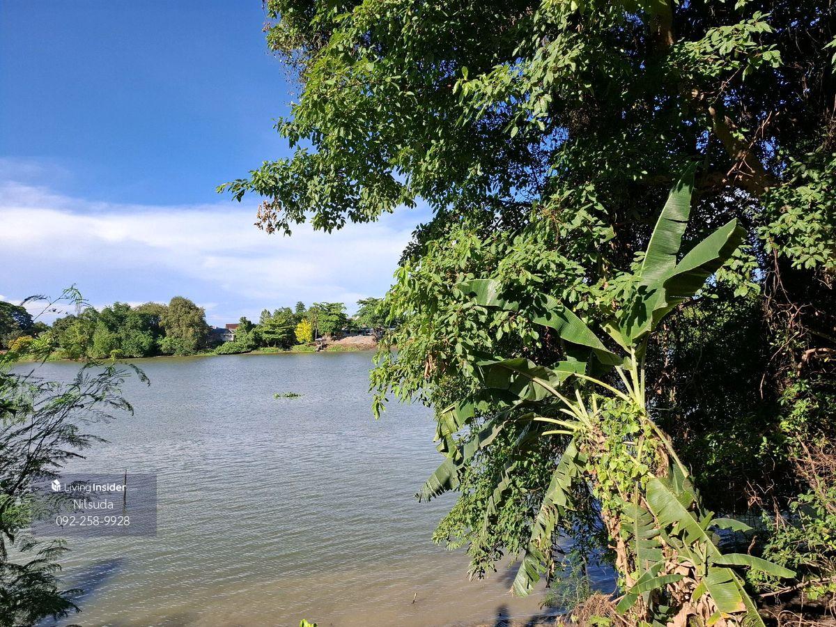 ที่ดินริมแม่น้ำแม่กลอง ราชบุรี ราคาเบาๆ 7 ล้าน หน้าติดถนน หลังติดน้ำ ข้างลำคลอง ขนาด 353 ตรว - 2