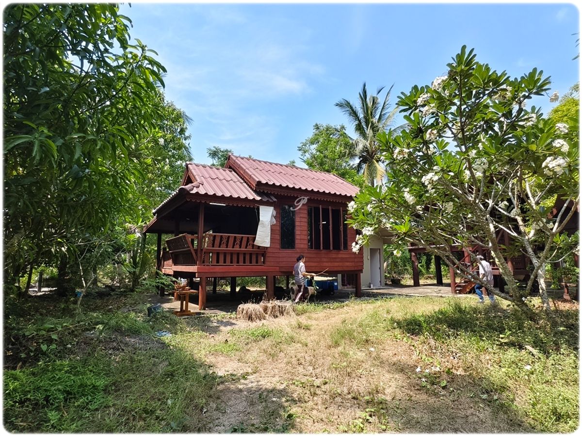 ขายที่สวน พร้อมบ้านทรงไทย 2หลัง ติดน้ำ 3ด้าน มีหิ่งห้อยช่วงค่ำ ใกล้กรุงเทพ เหมาะสำหรับการพักผ่อนยามเกษียณ - 7
