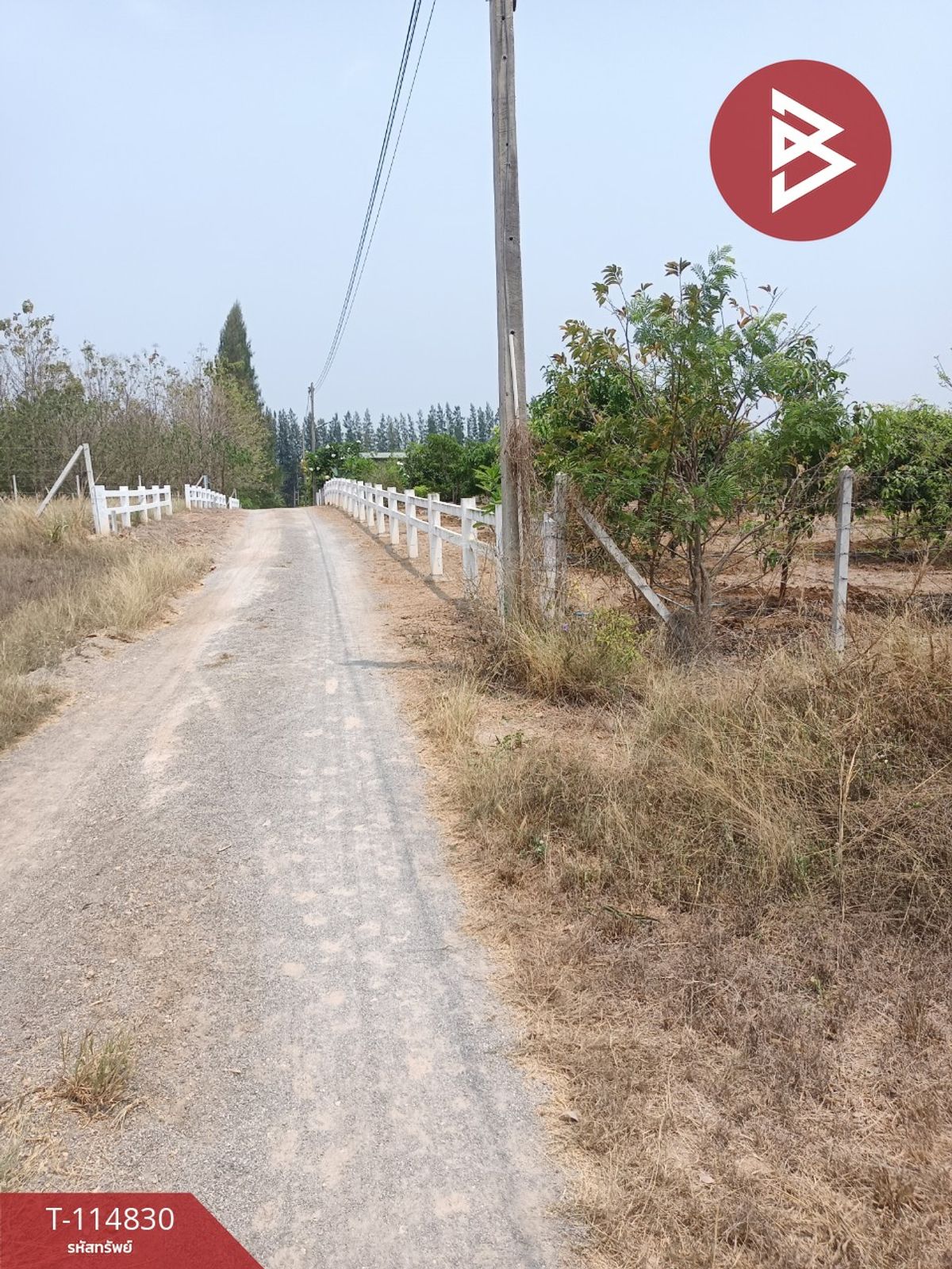 ขายที่ดิน 2 ไร่ จอมบึง ราชบุรี - 9