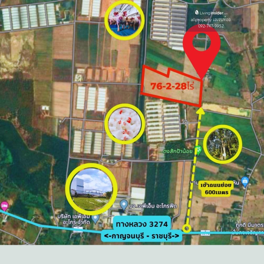 ขายที่ดินแปลงใหญ่ เนินเขาน้ำไม่ท่วม 76-2-28ไร่ เบิกไพร จอมบึง ราชบุรี เหมาะสร้างโกดัง โรงงาน โซลาร์ฟาร์ม โครงการ โปรเจคใหญ่ๆ - 12