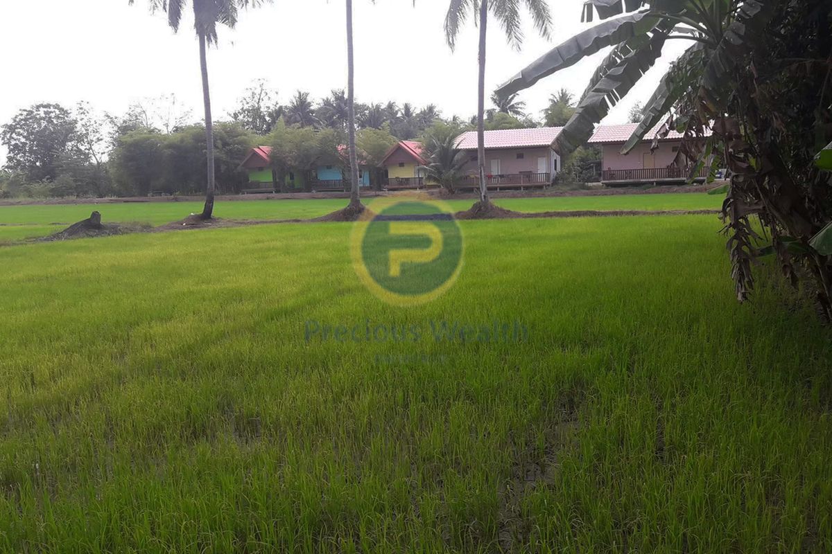 ที่ดินราชบุรี โพธาราม เนื้อที่ดิน 4-3-90 ไร่ - 5