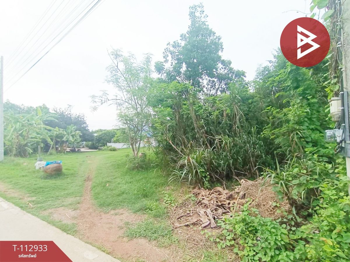 ขายที่ดิน เนื้อที่ 2 ไร่ 16 ตร.วา เกาะพลับพลา ราชบุรี - 9