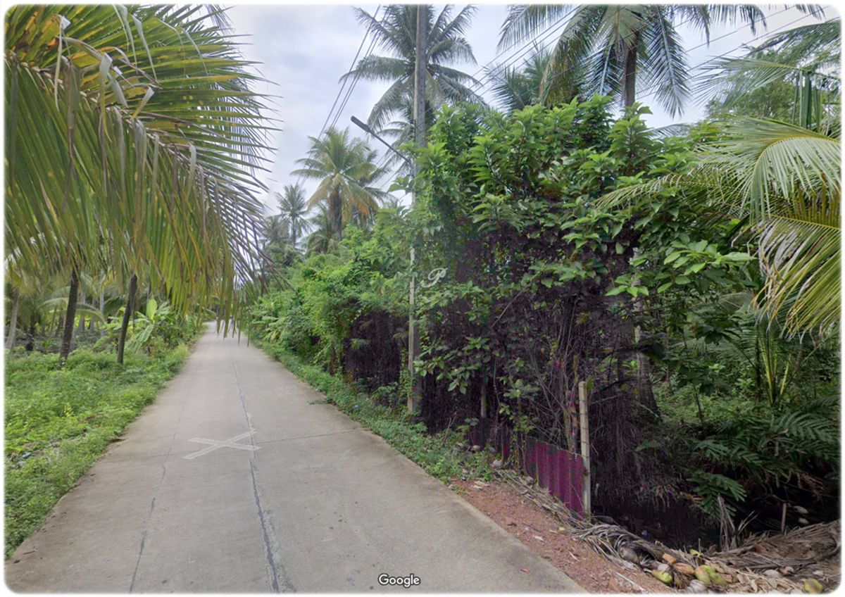 ขายที่สวน พร้อมบ้านทรงไทย 2หลัง ติดน้ำ 3ด้าน มีหิ่งห้อยช่วงค่ำ ใกล้กรุงเทพ เหมาะสำหรับการพักผ่อนยามเกษียณ - 5