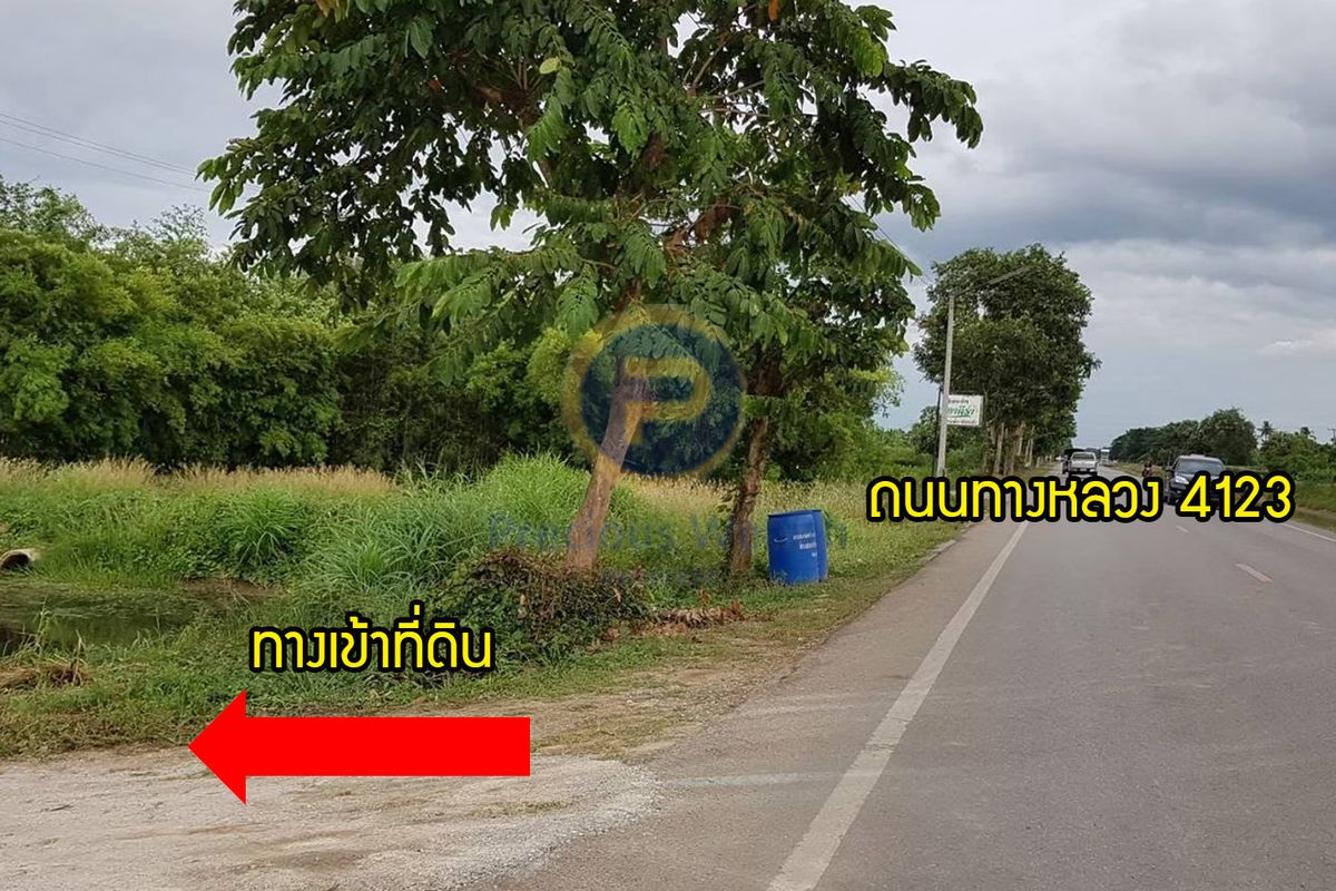 ที่ดินราชบุรี โพธาราม  เนื้อที่ดิน 4-3-90 ไร่