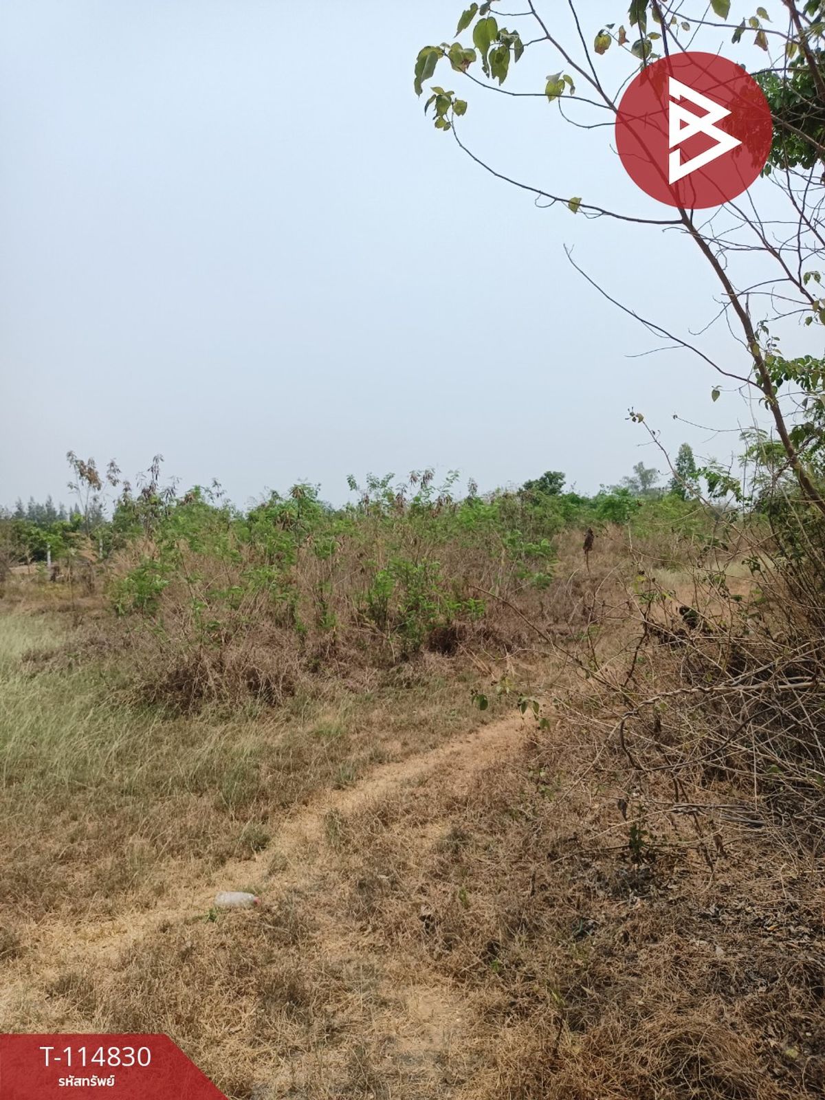 ขายที่ดิน 2 ไร่ จอมบึง ราชบุรี - 6