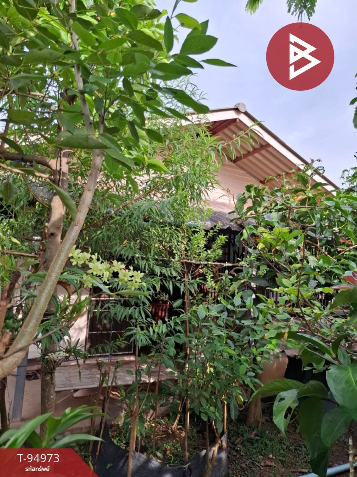 ขายบ้านเดี่ยวพร้อมที่ดิน เนื้อที่ 1 ไร่ ปากท่อ ราชบุรี - 4