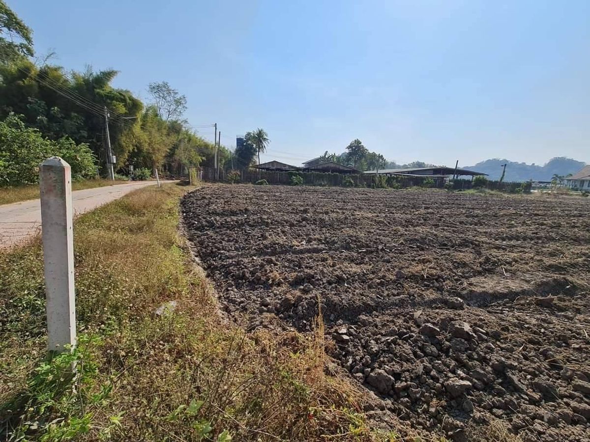 ขายที่ดินแปลงมุม ติดถนน3ด้าน ไฟฟ้า น้ำบาดาลพร้อมใช้ ที่ดินลงทุน ที่ดินราชบุรี - 5