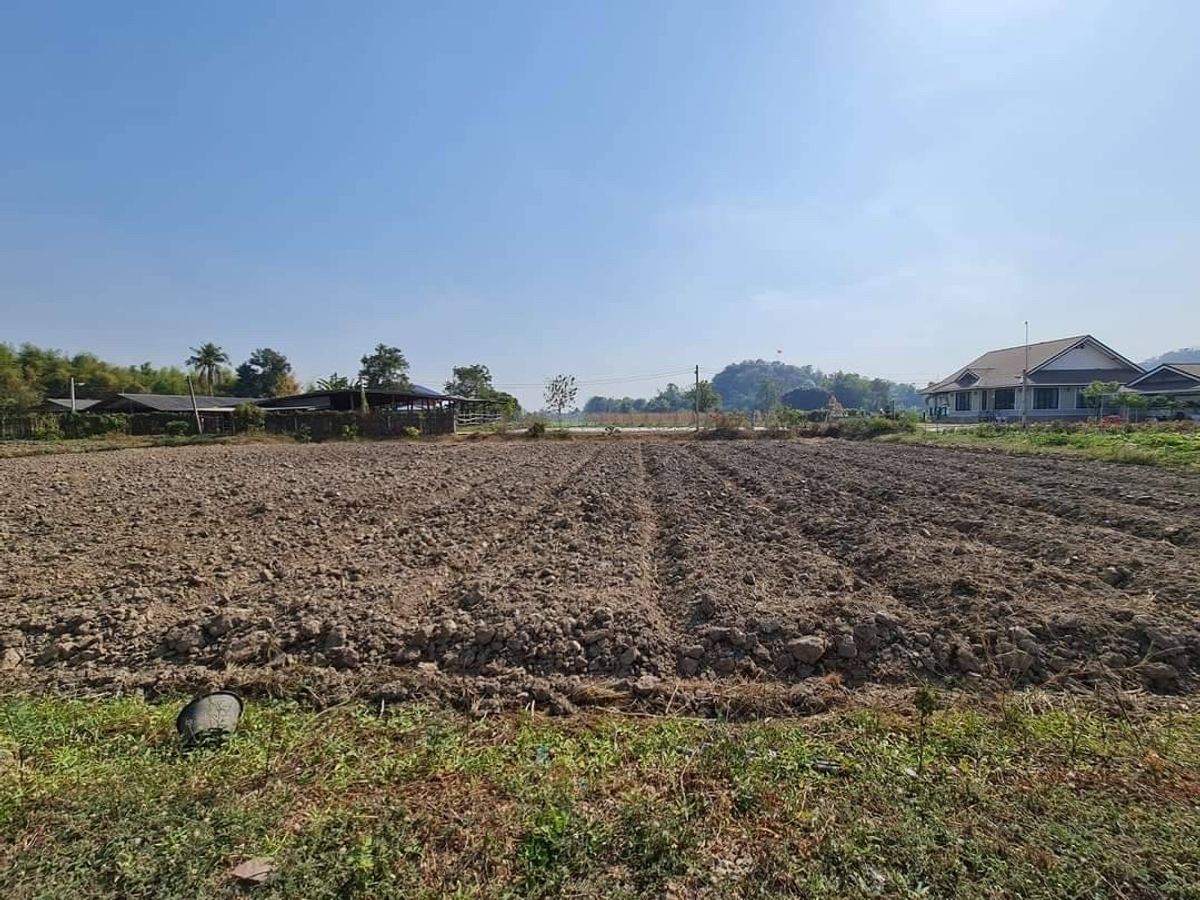 ขายที่ดินแปลงมุม ติดถนน3ด้าน ไฟฟ้า น้ำบาดาลพร้อมใช้ ที่ดินลงทุน ที่ดินราชบุรี