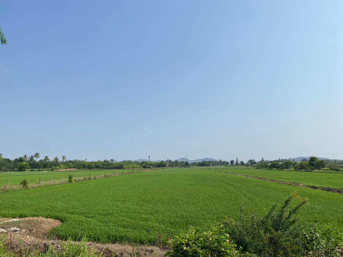 ขายที่ดิน 10 ไร่ 3 งาน อ.บ้านโป่ง จ.ราชบุรี ไร่ละ 290,000บาท - 6