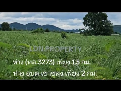 ขายที่ดินไร่อ้อย วิวภูเขา ติดถนนดำ เนื้อที่ 22 ไร่ 2 งาน 96 ตรว. (9,096 ตรว.)ต.เขาขลุง อ.บ้านโป่ง จ. Lราชบุรี - 3